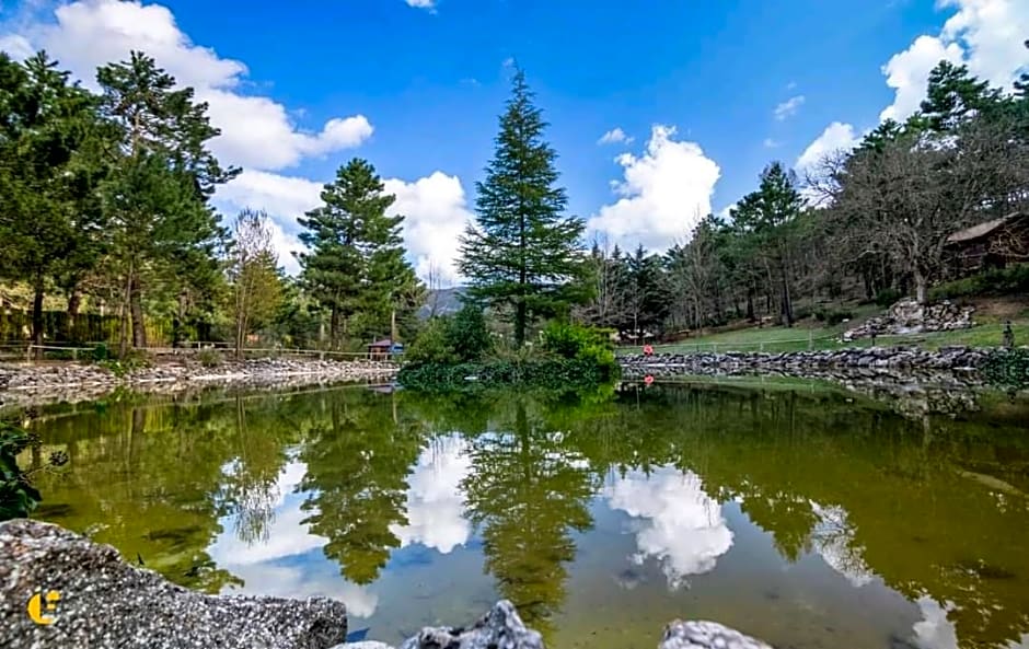La cabaña del lago en ZAFIRO LAGUNAZO Parque Natural del Río Mundo