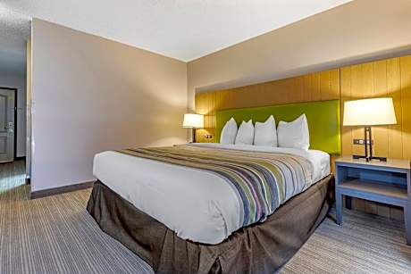 King Room - Disability Access