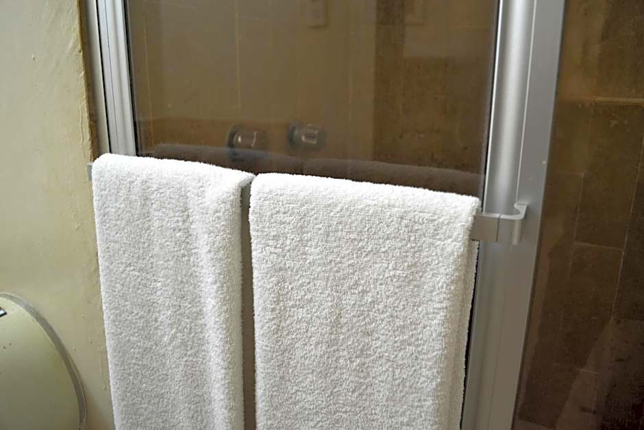 Hotel America Palacio