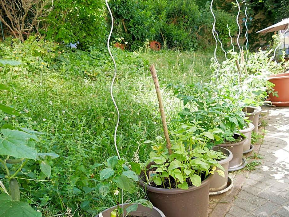 Schloss Goldacker - das Schloss der Gesundheit
