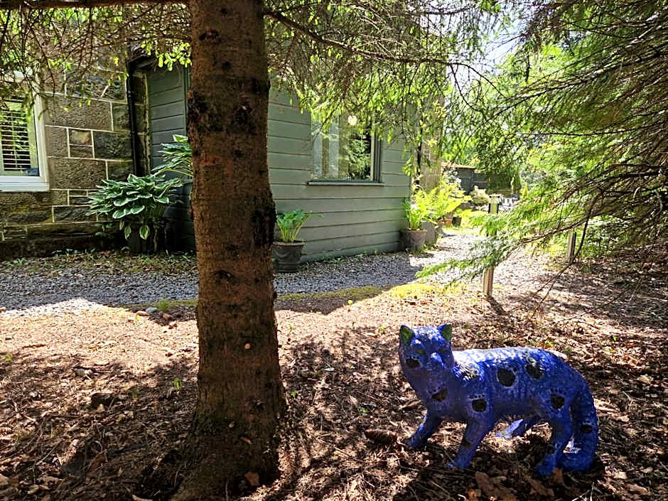 Eagle View Guest House