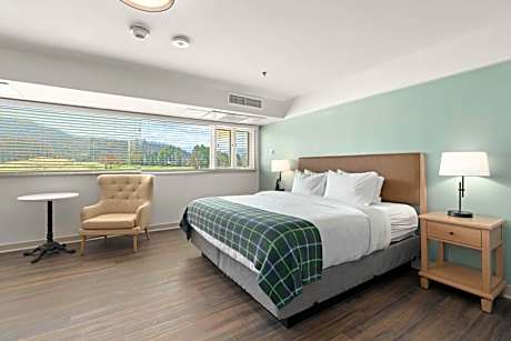 1 King 1 Bedroom Suite W/ Sleeper Sofa