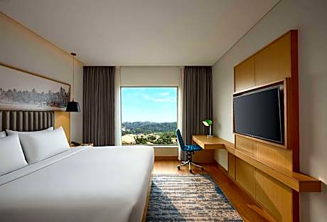 1 Bedroom Apartment, Suite, 1 King, Sofa Bed
