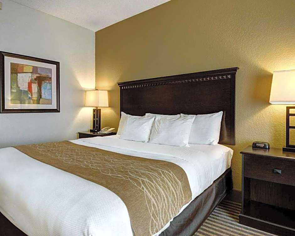 Comfort Inn & Suites Hot Springs Midtown