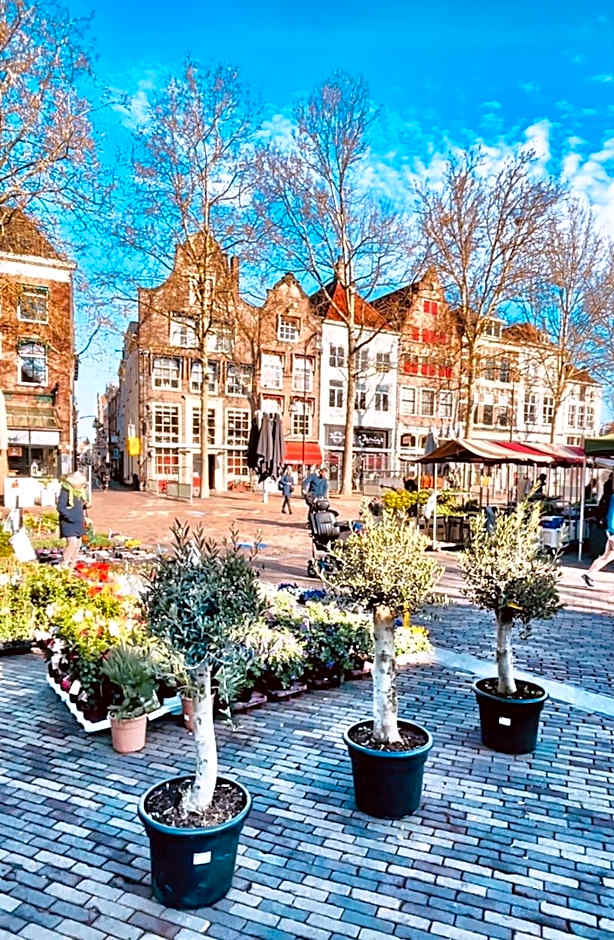 Atelier Raamwerk City Atelier Apartment for Friends and Families 125m2!