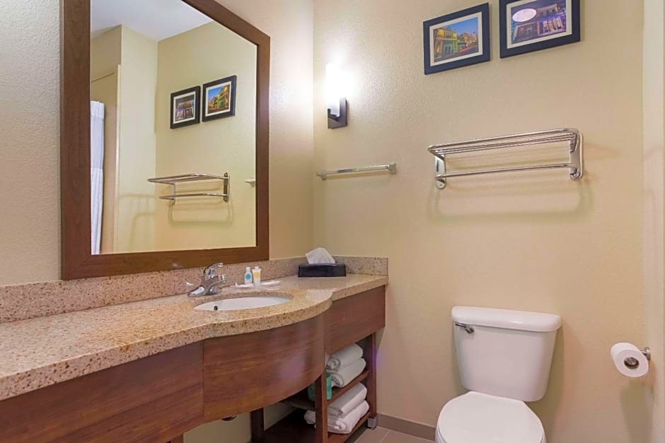 Comfort Suites North Mobile