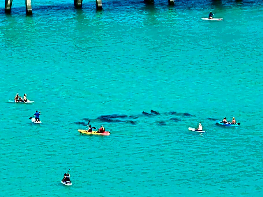 Navarre Beach