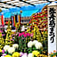 Ooedo Onsen Monogatari Premium Shiomiso