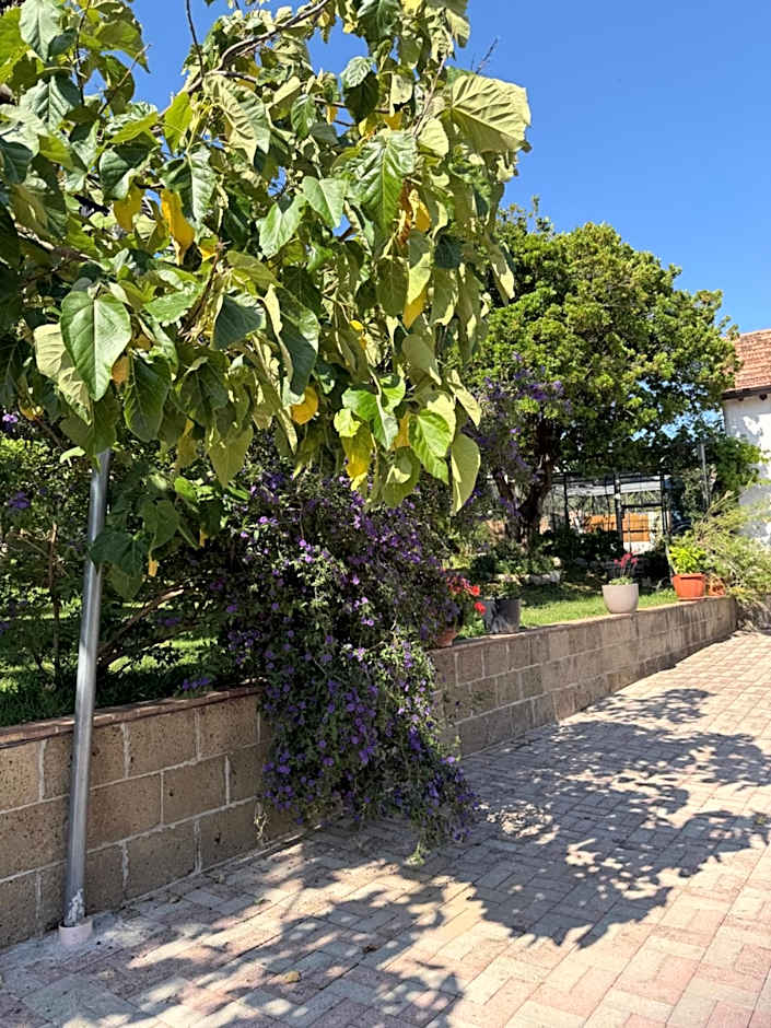 A Casa di nonna Emilia