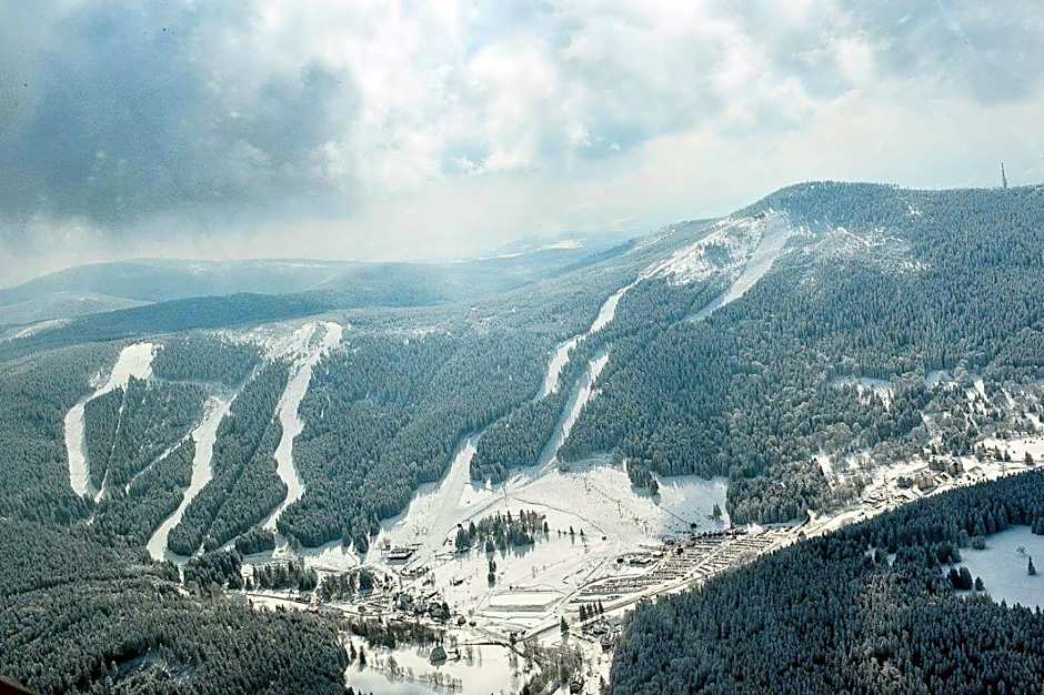 Kosówka Czarna Góra