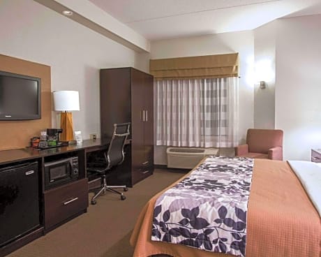 King Room - Non-Smoking
