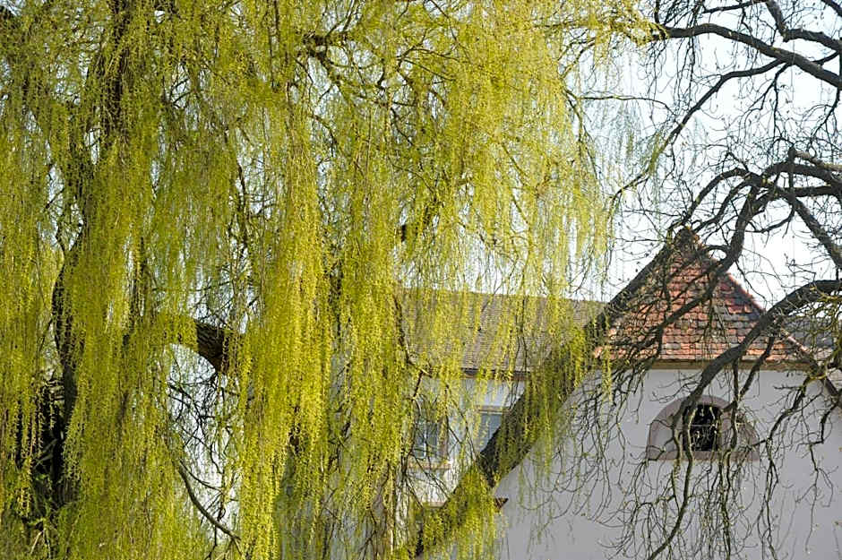 Zeiskamer Muhle