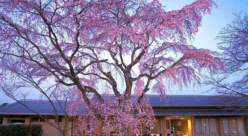 Kyoto Utano Youth Hostel