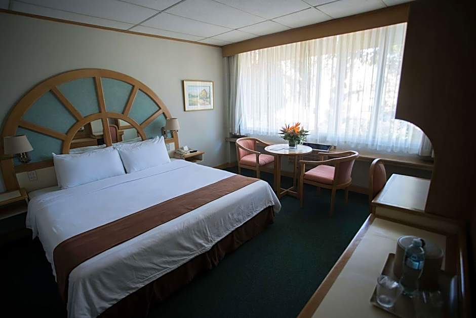 Best Western Plus Hotel Terraza