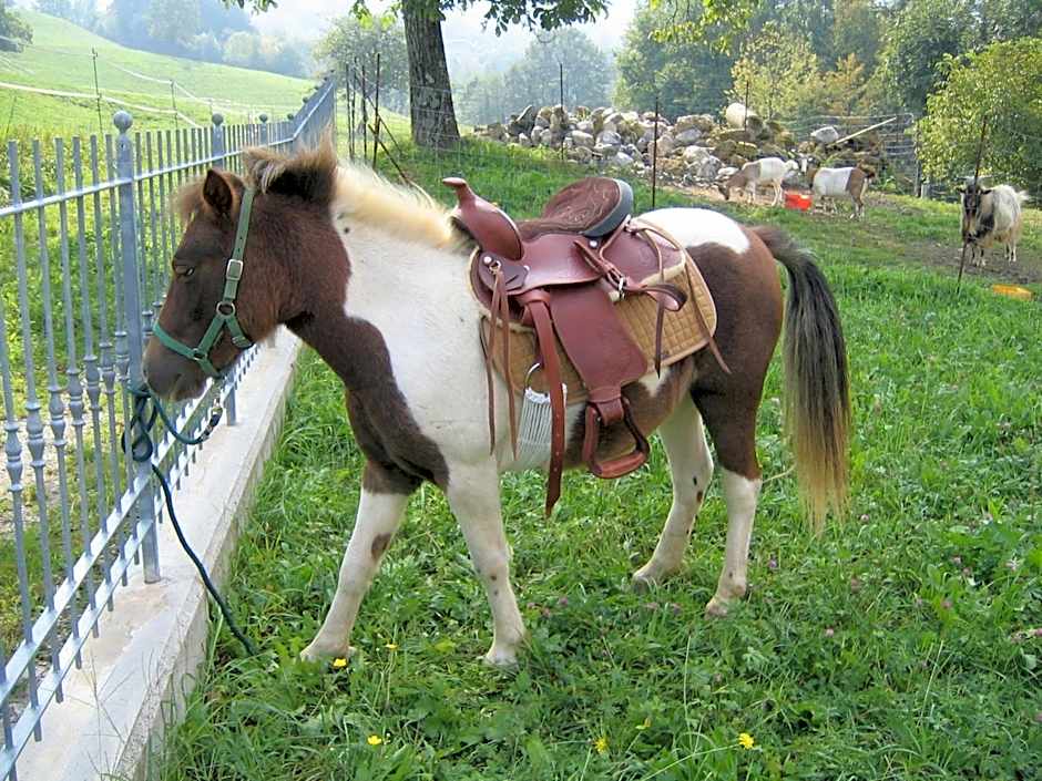 Bed & Breakfast Castello Regina