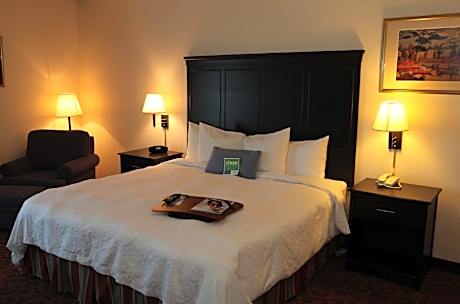 1 King Bed, Suite, Nonsmoking