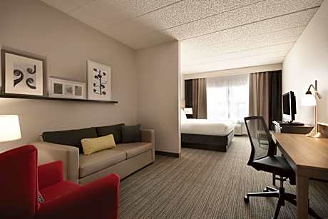 1 King Bed, Suite, Nonsmoking