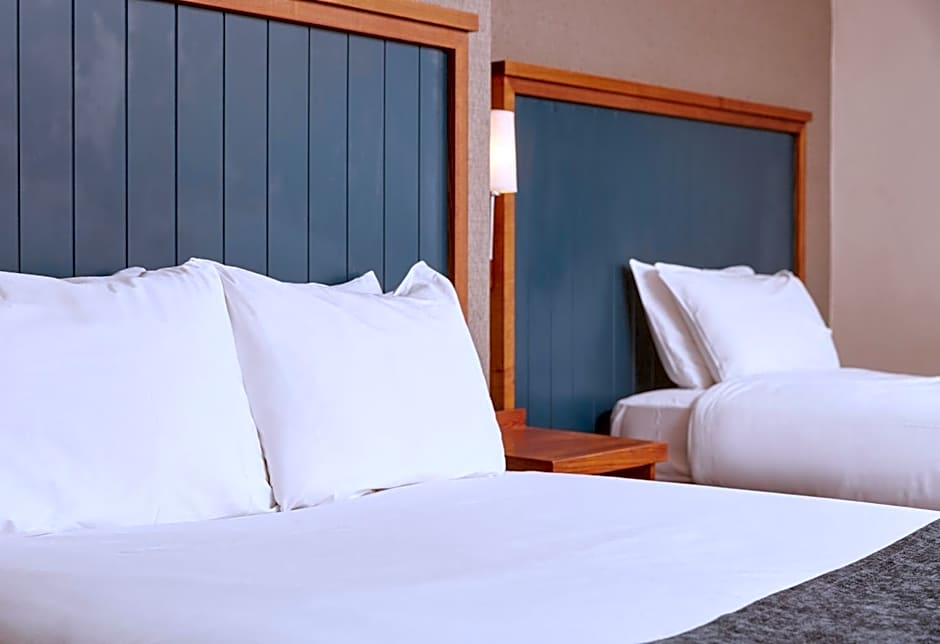 White Rabbit by Chef & Brewer Collection