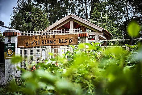 le p'ti blanc des "o"