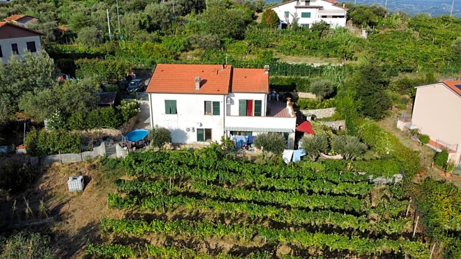 In Vino Veritas