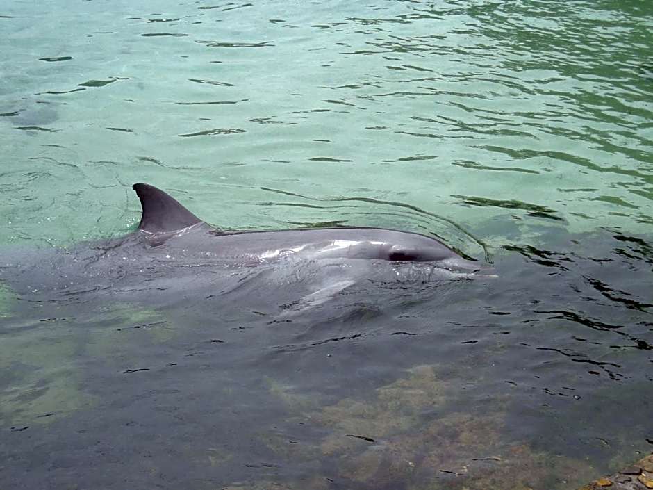 Marcel Towers Holiday Apartments