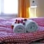 Adventure Guesthouse Interlaken