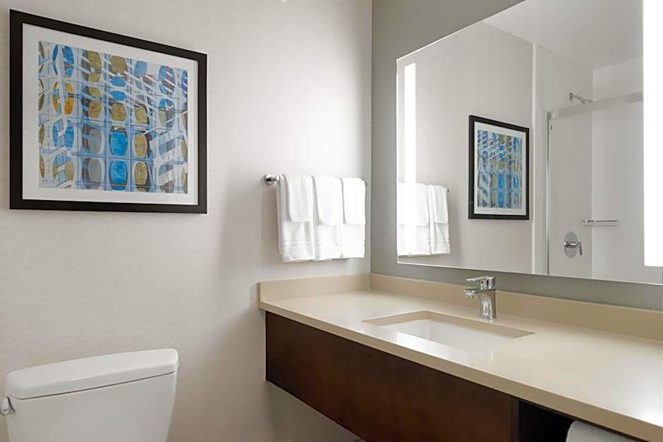 Hilton Garden Inn Chicago Downtown/Magnificent Mile