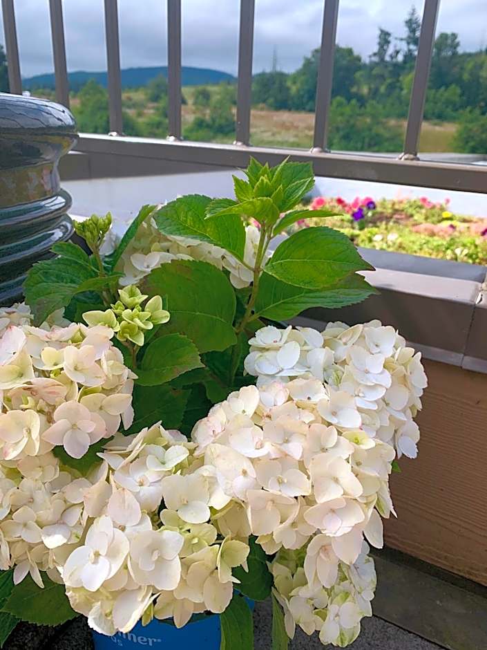 Holiday Inn Express Hotel & Suites North Sequim By IHG