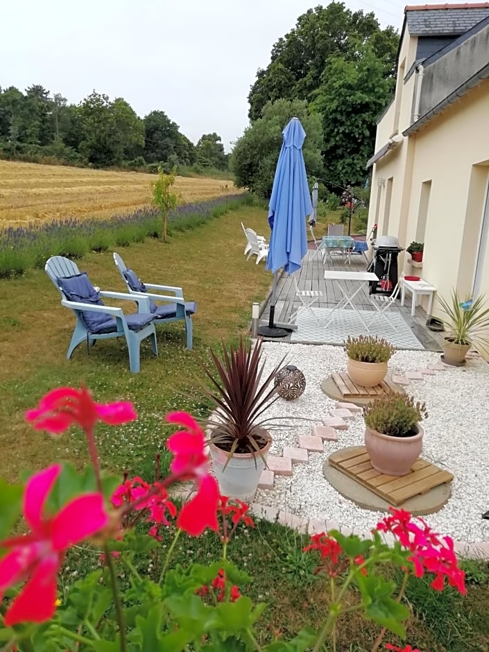 Foto 1 von 38 von Kerlan 5