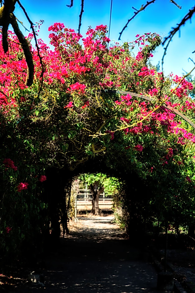 Quinta Da Praia Das Fontes