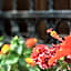 Flores Hotel Alaçatı