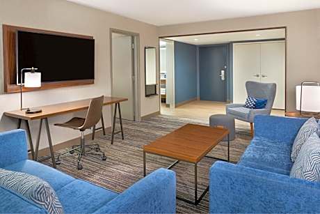 One-Bedroom King Suite