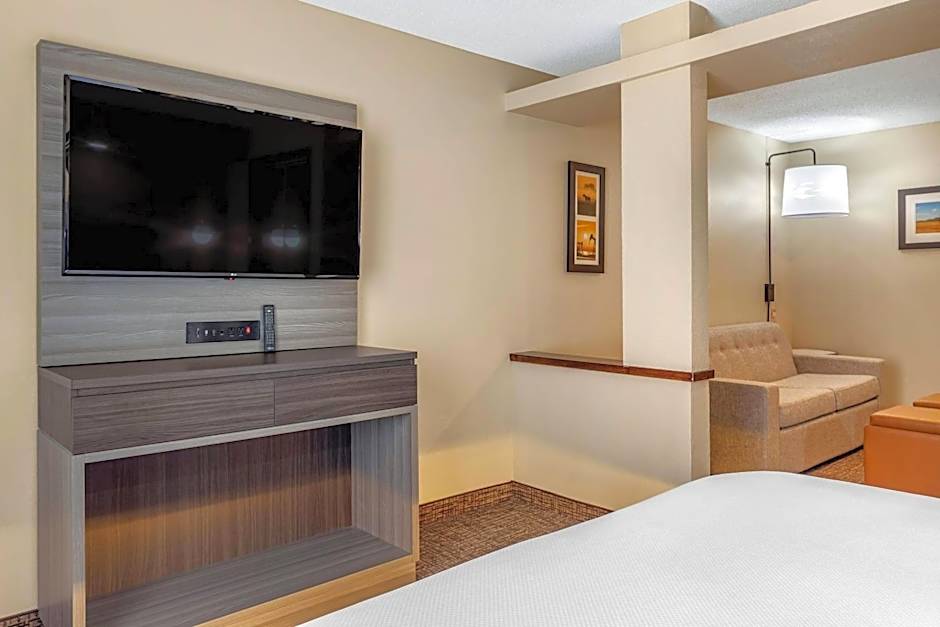 Comfort Inn & Suites North Dallas-Addison