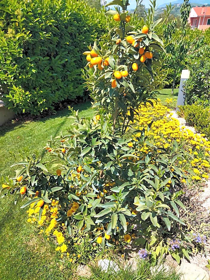 B&B La Casa di Giuliana