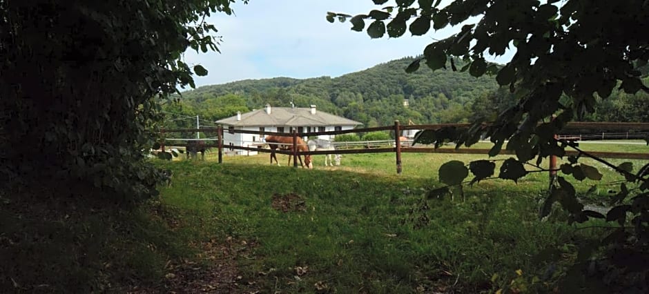 Favetto Family Ranch