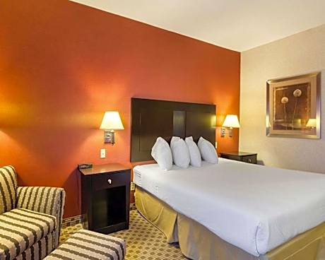 1 King Bed, Nonsmoking, Accessible