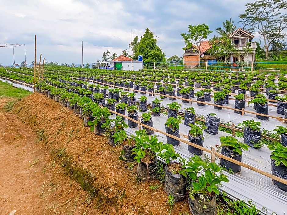 OYO Homes 91067 Desa Wisata Santanamekar