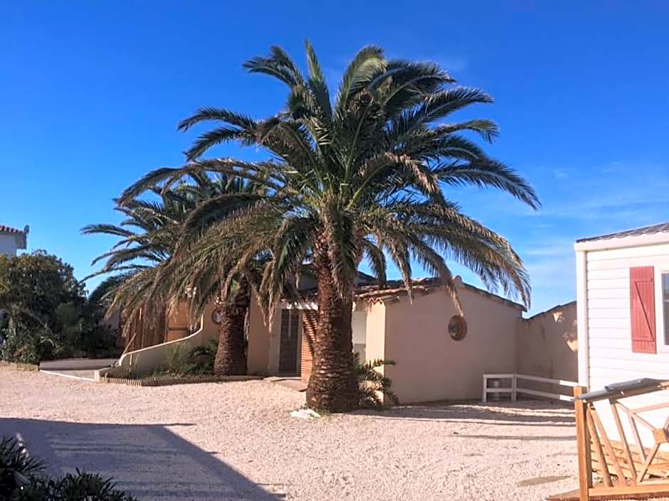 FLAMANTS ROSES 4 Accesible PMR