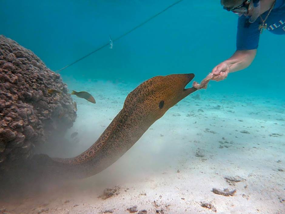 Muri Beach Club Hotel