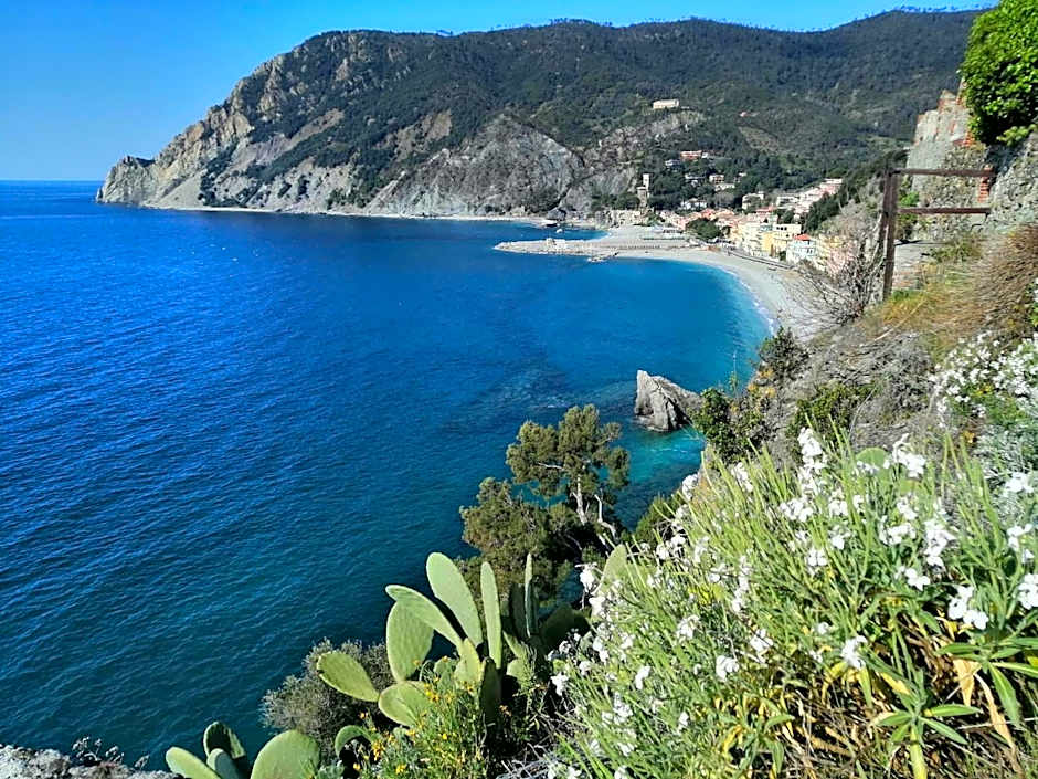 Affittacamere Monterosso 5 Terre