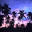 Galalima Glamping by AGATA