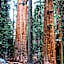 Sierra Lodge Three Rivers