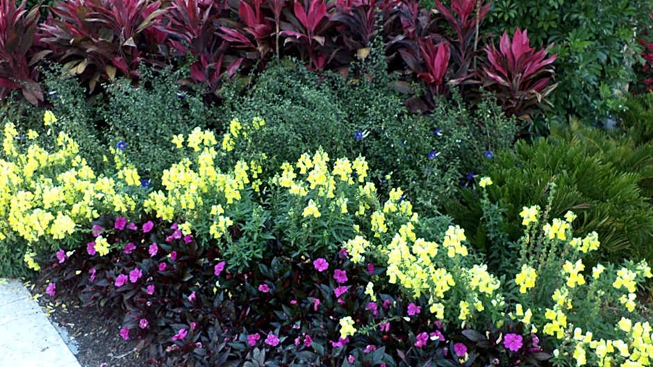 Glades Motel - Naples