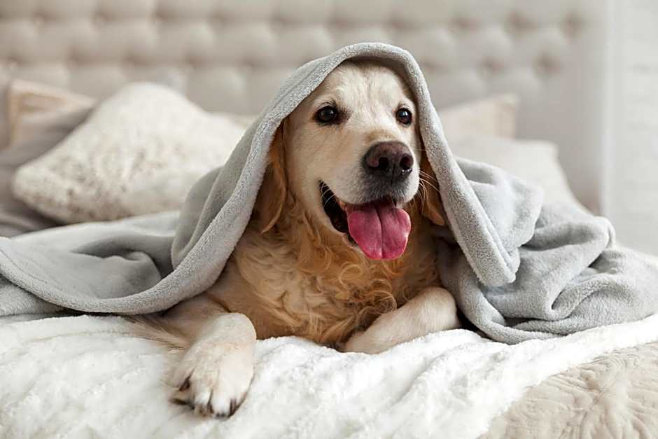 Garner Hotel Cottbus Sud