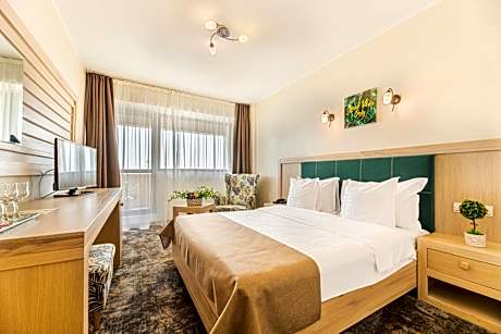 Double Standard Room with Balcony and Danube View