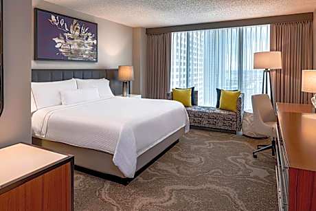 Traditional, Guest room, 1 King