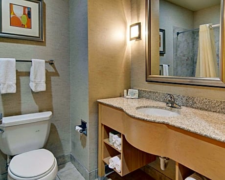 1 King Bed Suite Nonsmoking