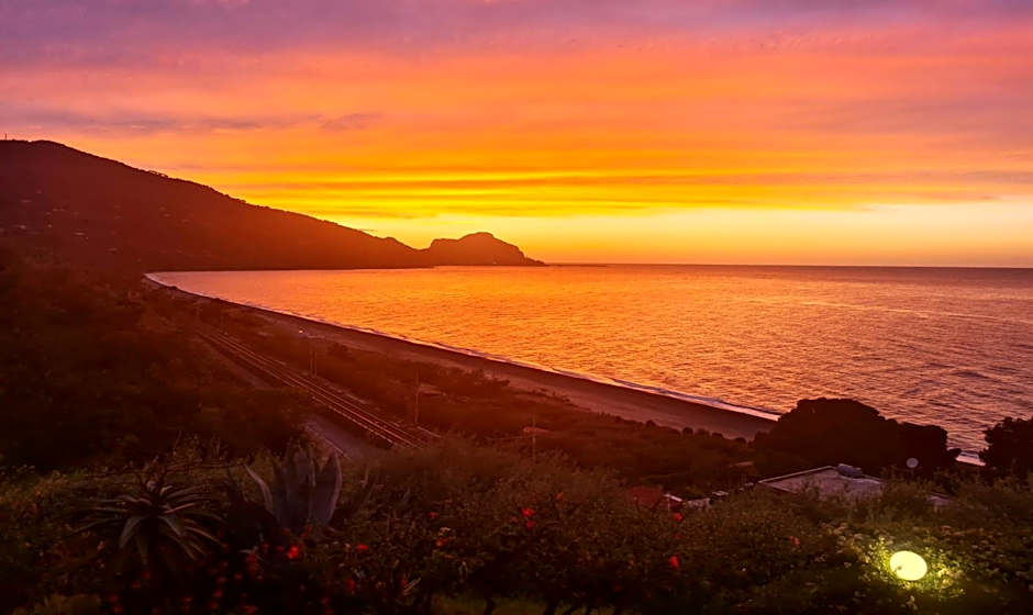 CH Exclusive Apartments