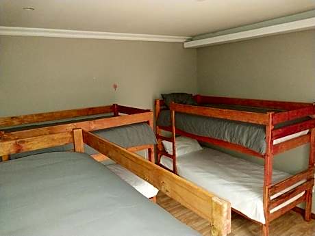 Bunk Bed in Mixed Dormitory Room