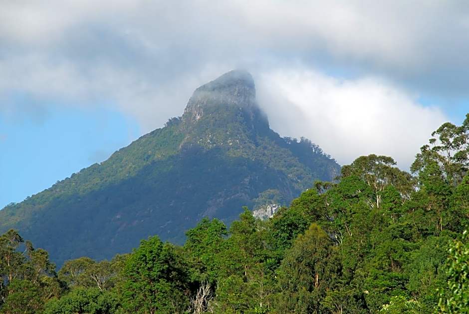Wollumbin Palms Rainforest Retreat
